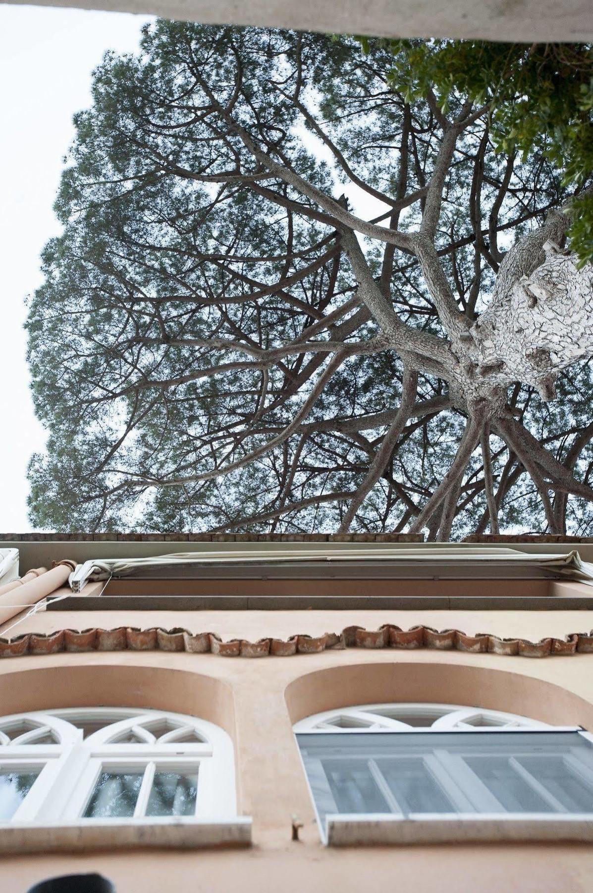 דירות רבאלו La Casa Di Carla מראה חיצוני תמונה